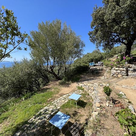 فندق Casa Musicale Pigna المظهر الخارجي الصورة
