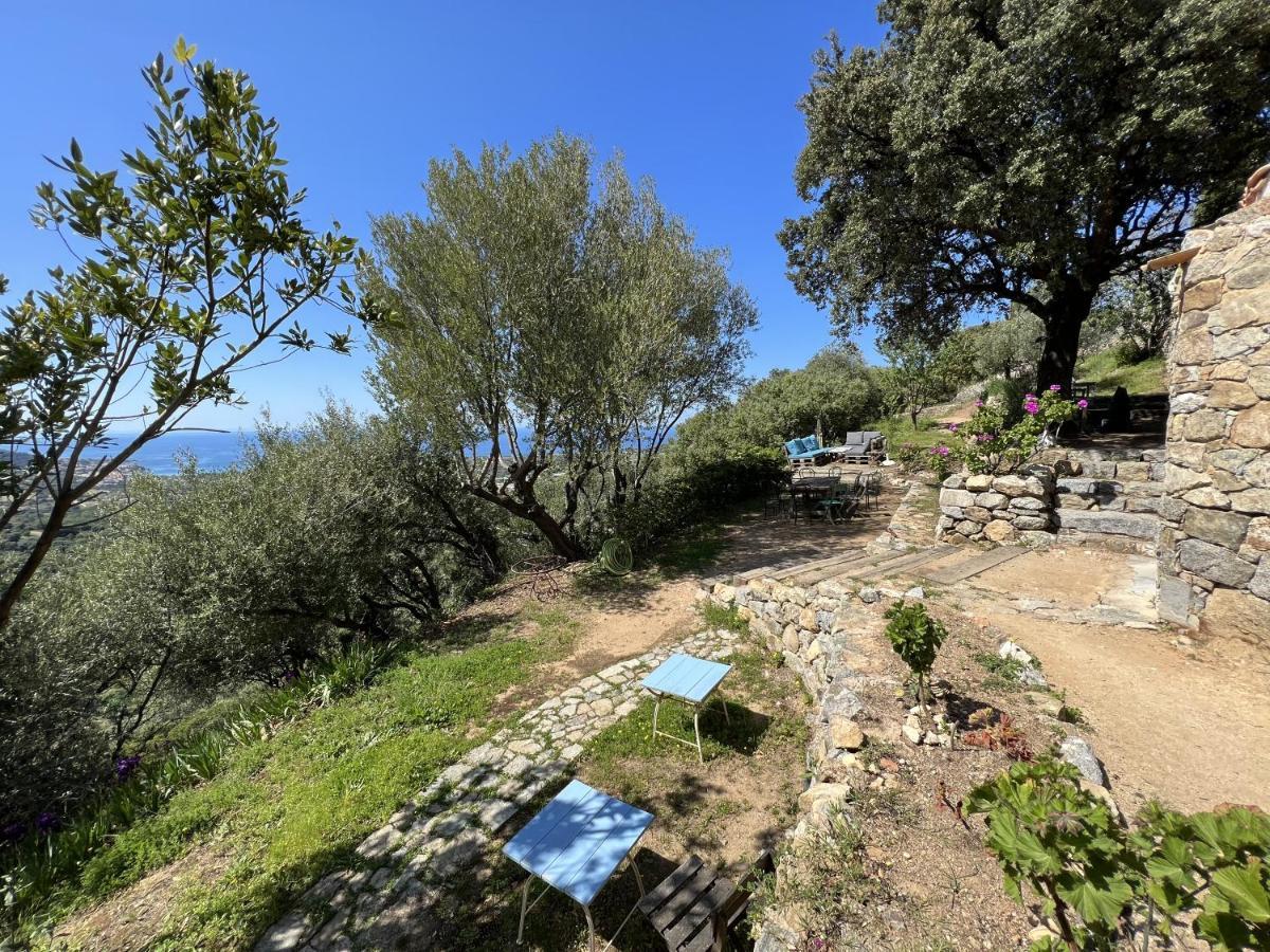 فندق Casa Musicale Pigna المظهر الخارجي الصورة
